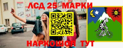 СК Новодвинск