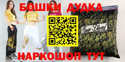 индика Новозыбков