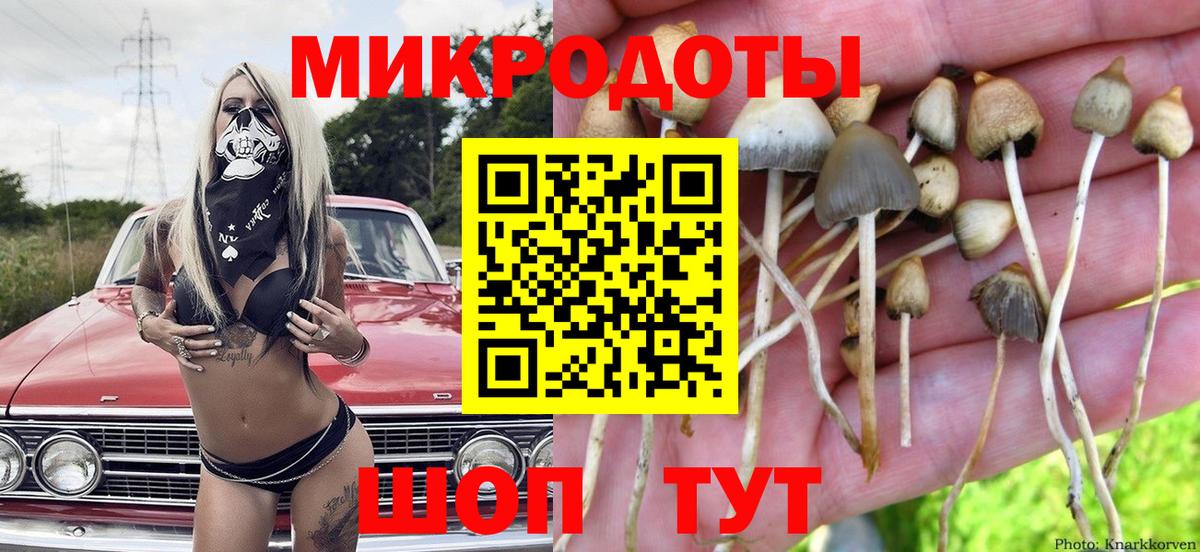 Псилоцибиновые грибы Magic Shrooms Шарыпово