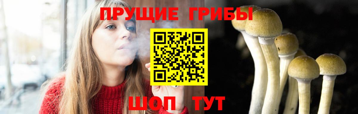 Шарыпово  Галлюциногенные грибы прущие грибы  Вход с VPN 